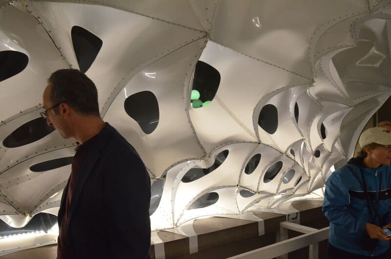 Wild Orangutans Show Communication Complexity Thought to Be Uniquely Human