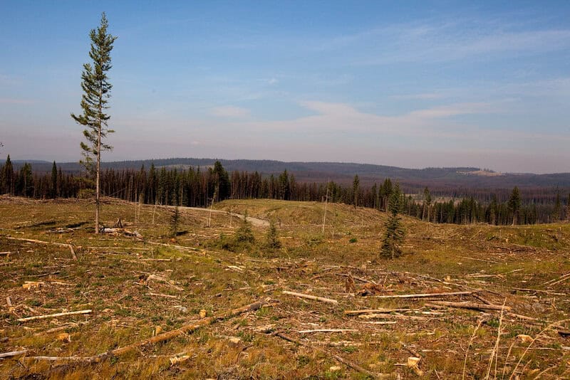 Why Sea Level Rise Is Accelerating Faster Than Expected