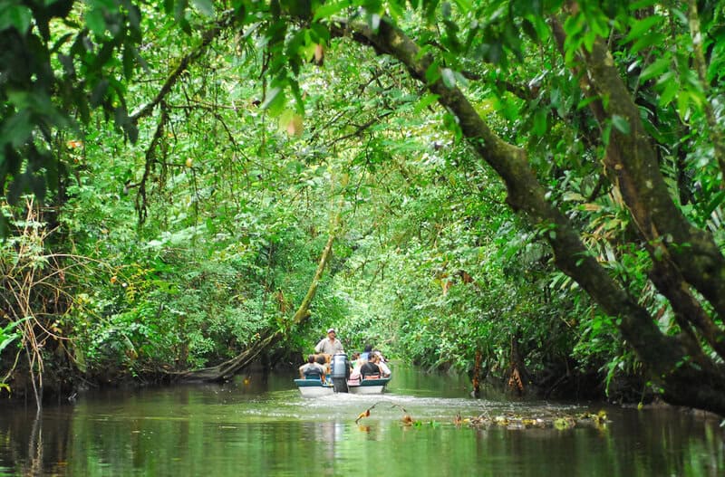 Carbon-Neutral Adventures: How Costa Rica&#8217;s Eco-Lodges Are Redefining Responsible Travel