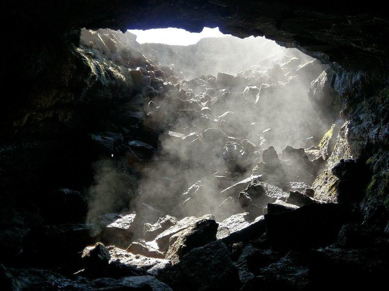 Breaking Ice: Revolutionary Discoveries Reveal Antarctica&#8217;s Hidden Biological Treasures