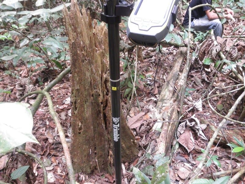 Ancient Amazonians Built 6,000 Connected Platforms &#8211; Lost Civilization Found