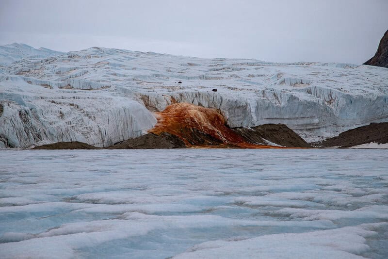 Antarctica Is Bleeding Red—And It&#8217;s Not What Climate Scientists Expected