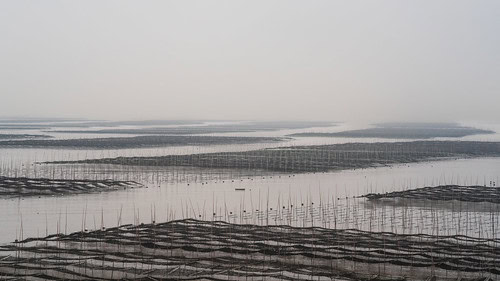 How Seaweed Farming Could Feed the World After Nuclear War
