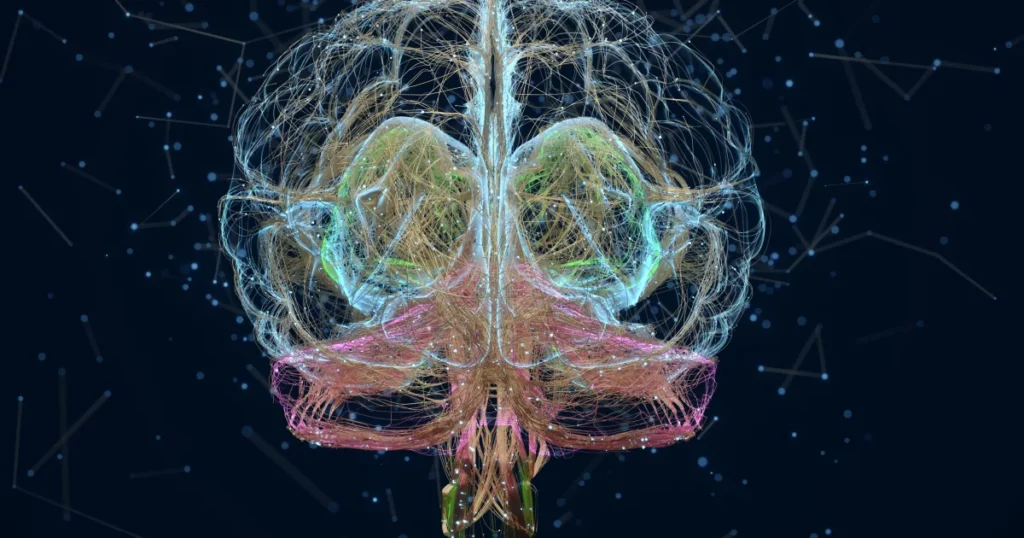 Scientists Map 140,000 Neurons in Fruit Fly Brain &#8211; Here&#8217;s What It Reveals About Human Memory