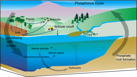 Every Atom in Your Body Is Billions of Years Old—Except for One Element