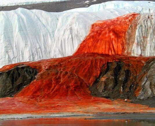 Antarctica Is Bleeding Red—And It’s Not What Climate Scientists Expected