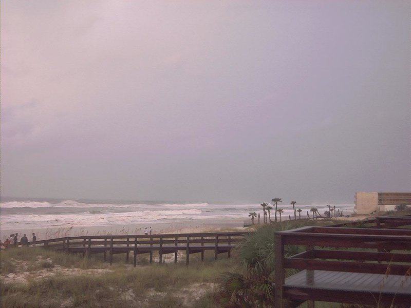 Marine Biologists Discover 60,000-Year-Old Underwater Forest Off Alabama Coast
