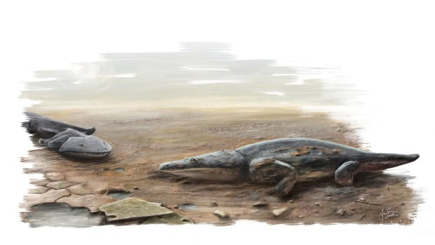 Massive Extinct Salamander With Vice-Like Jaws Found in Tennessee Fossil