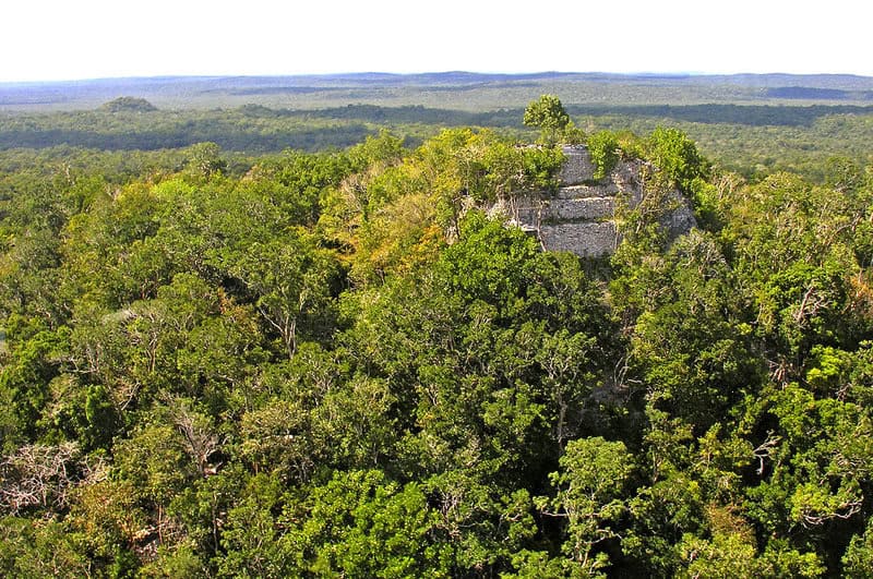 Ancient Amazonians Built 6,000 Connected Platforms &#8211; Lost Civilization Found