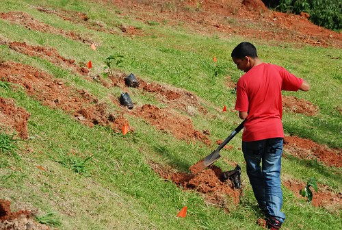Carbon-Neutral Adventures: How Costa Rica&#8217;s Eco-Lodges Are Redefining Responsible Travel