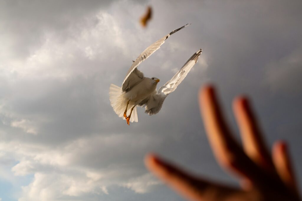 30 Subtle Signs that Someone is a Good Person