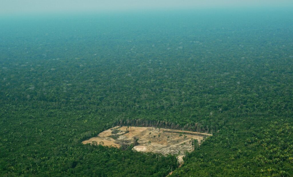 Forest Apocalypse: Why 2025&#8217;s Deforestation Crisis Threatens Human Civilization