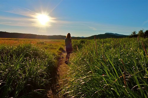 Morning Light Therapy: As Effective as Antidepressants for Beating Winter Depression