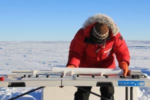 Antarctica Is Growing New Forests—But It&#8217;s Not Good News