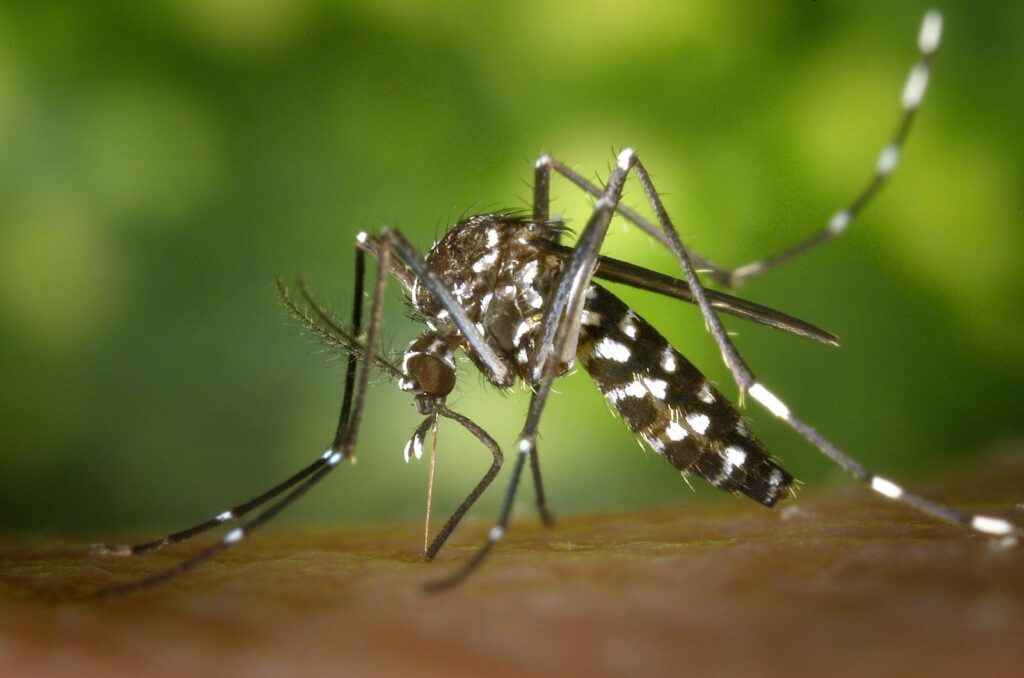 Scientists Discover Why Some People Are 100X More Attractive to Mosquitoes (And It&#8217;s 67% Genetic)