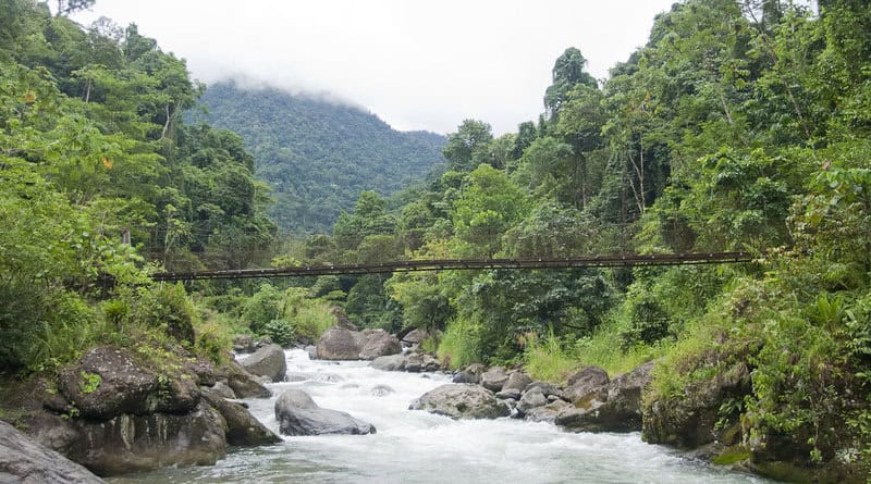 Carbon-Neutral Adventures: How Costa Rica&#8217;s Eco-Lodges Are Redefining Responsible Travel