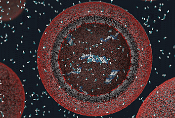 15 Times Scientists Made “Proto-Life” in a Lab