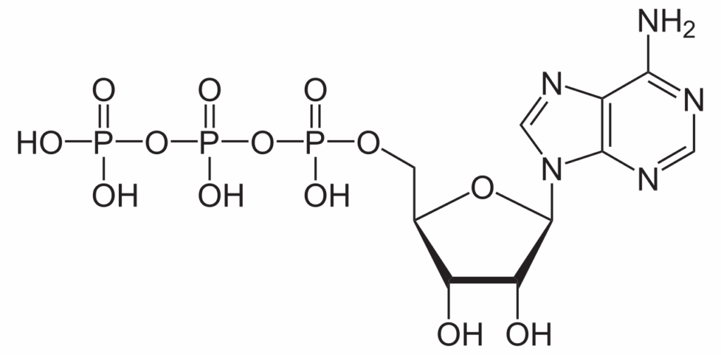 15 Steps from Non-Living to Living: How Life May Have Evolved