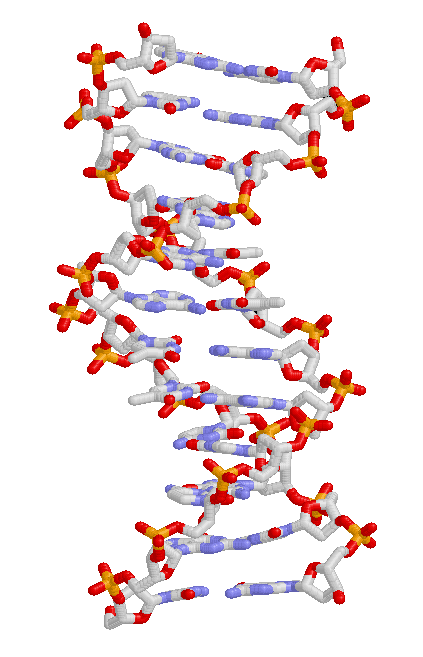 15 Steps from Non-Living to Living: How Life May Have Evolved