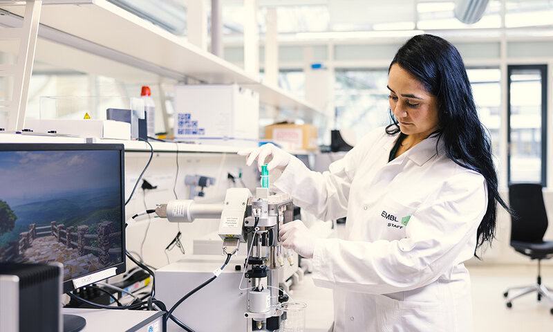 Scientists Created Thinking Brain Tissue in a Lab, Then It Started Remembering Things