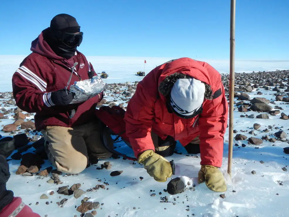 Breaking Ice: Revolutionary Discoveries Reveal Antarctica&#8217;s Hidden Biological Treasures