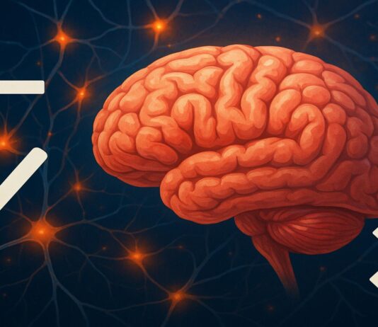 The Free Will Illusion: How Your Brain Tricks You Into Thinking You’re Making Choices