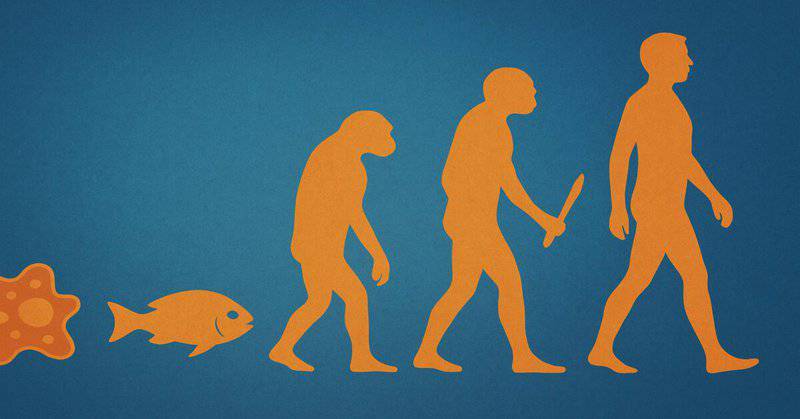 15 Evolutionary Milestones That Took Us From Goo to You