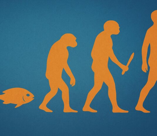 15 Evolutionary Milestones That Took Us From Goo to You