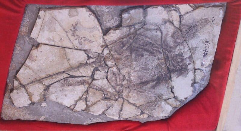 15 Famous Scientific Discoveries That Turned Out to Be Hoaxes