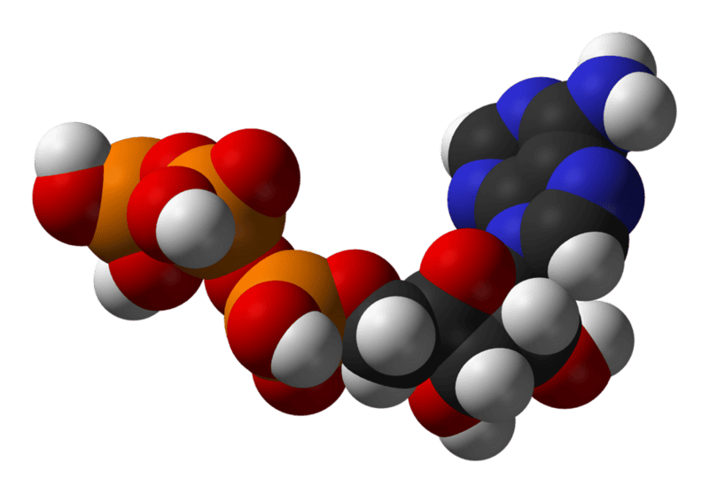 15 Ancient Traits You Still Have From the First Living Cells