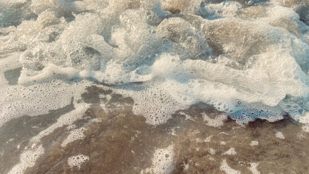 The Bacteria That Eat Plastic Waste Are Evolving Faster Than Expected