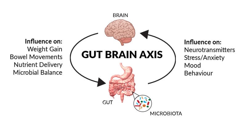 Your Gut Bacteria Might Be Controlling Your Depression &#8211; New Research Find