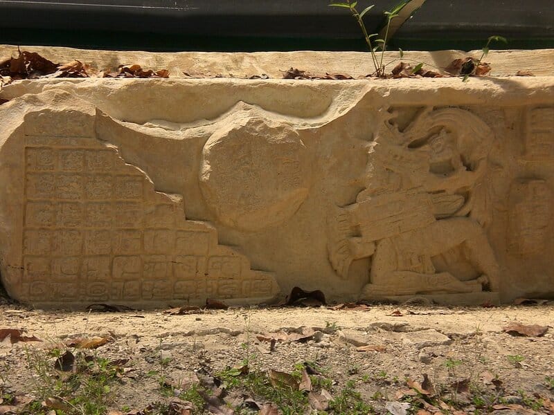 Ancient Amazonians Built 6,000 Connected Platforms &#8211; Lost Civilization Found