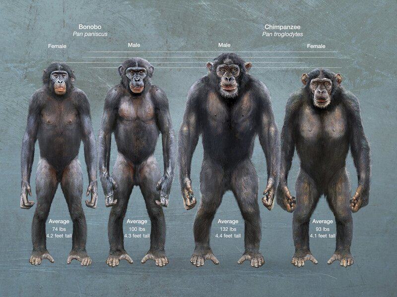 The 23 &#8220;Science Facts&#8221; Everyone Still Believes That Are Actually Complete Nonsense