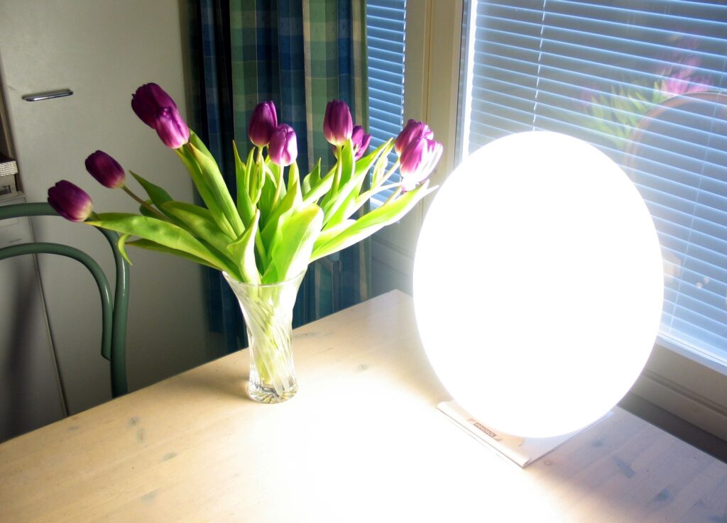 Morning Light Therapy: As Effective as Antidepressants for Beating Winter Depression
