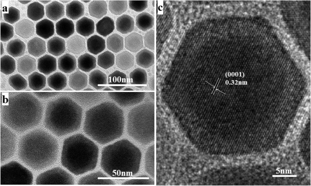 These Contact Lenses Let You See in Complete Darkness (And Work 60x Better With Eyes Shut)