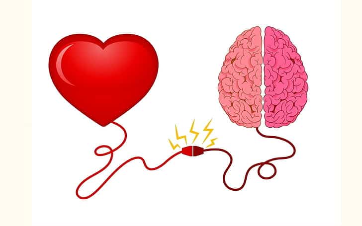 Scientists Discovered a &#8220;Second Brain&#8221; in Your Heart—And It Remembers Everything