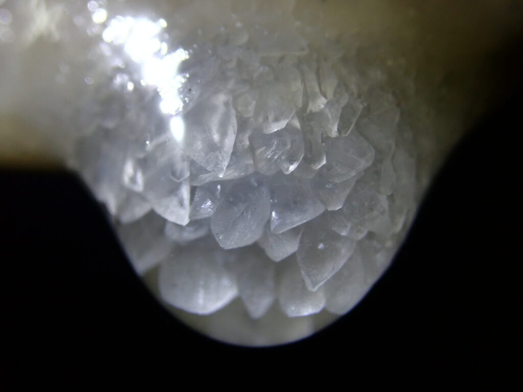 Scientists Create &#8216;Time Crystals&#8217; That Exhibit Perpetual Motion at Quantum Level