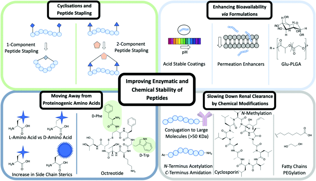 The Fountain of Youth Is Real: Inside the $6.4 Billion Quest to Reverse Human Aging