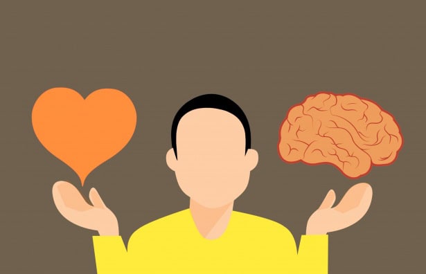 Scientists Discovered a &#8220;Second Brain&#8221; in Your Heart—And It Remembers Everything