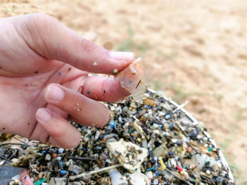 Microplastics Are Literally Raining from the Sky—Even in Remote Mountains