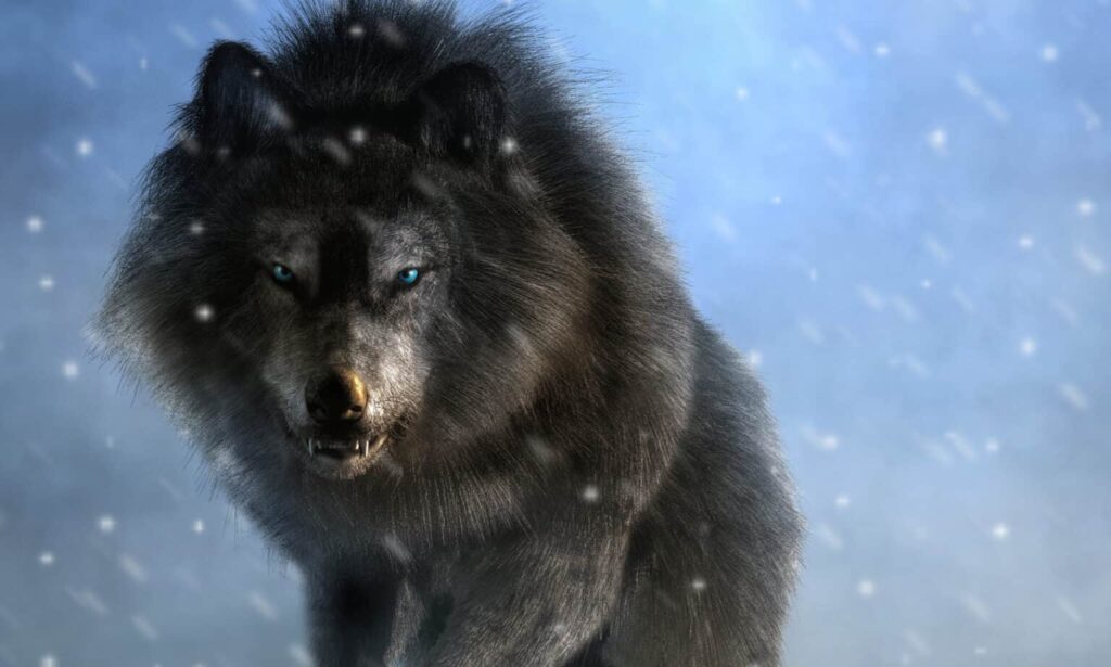 Why Scientists Are Officially Debunking the &#8220;Alpha Wolf&#8221; Theory—And What It Means for Leadership