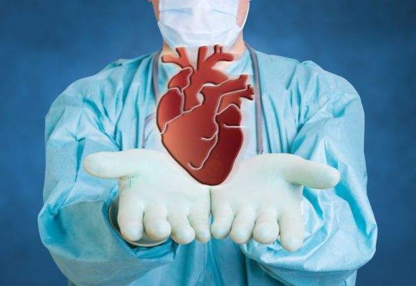 Scientists Discovered a &#8220;Second Brain&#8221; in Your Heart—And It Remembers Everything