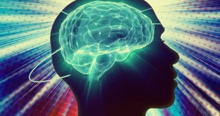 Scientists Map 140,000 Neurons in Fruit Fly Brain &#8211; Here&#8217;s What It Reveals About Human Memory