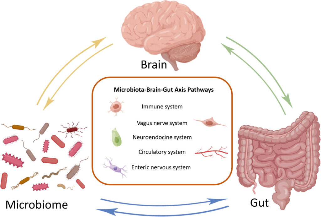 Your Gut Bacteria Might Be Controlling Your Depression &#8211; New Research Find