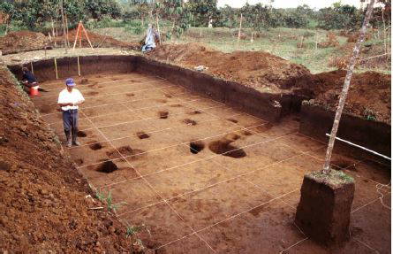 Ancient Amazonians Built 6,000 Connected Platforms &#8211; Lost Civilization Found