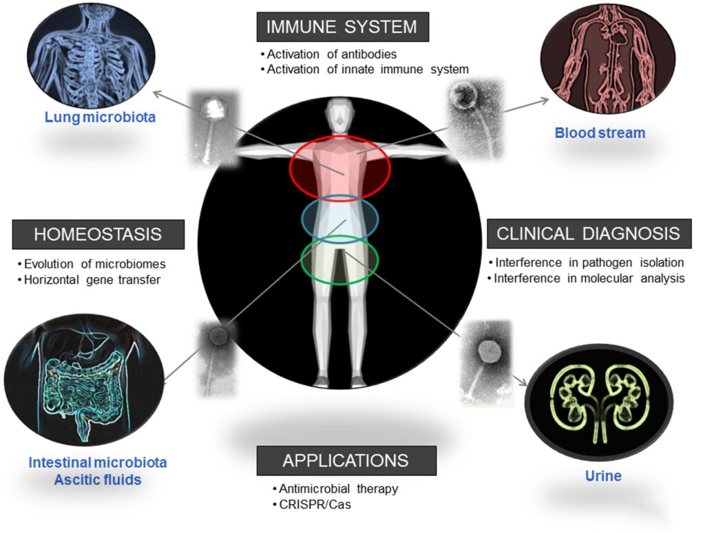 The Virus Living in Your Body Right Now That&#8217;s Actually Keeping You Alive