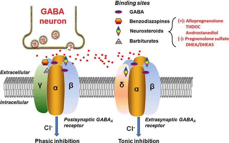 FDA Approves First Drug Designed Specifically for Postpartum Depression After 70 Years