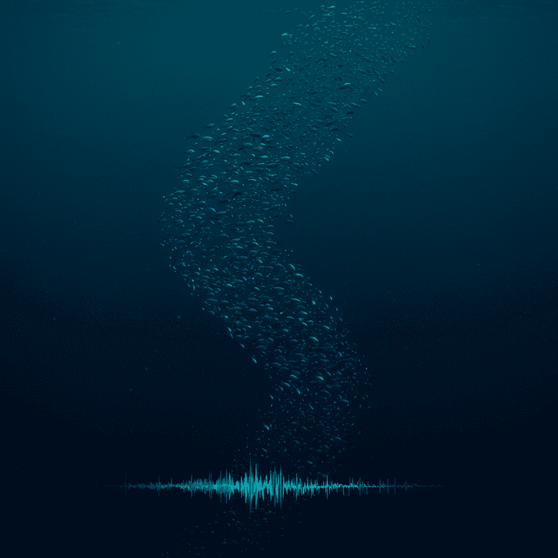 The Ocean&#8217;s Greatest Migration Happens Every Night: Trillions of Animals Travel Vertically