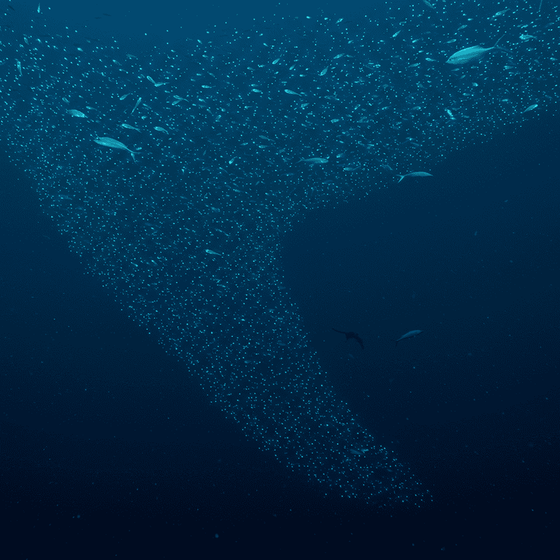 The Ocean&#8217;s Greatest Migration Happens Every Night: Trillions of Animals Travel Vertically